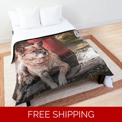 Le Studio Comforter A Rush Signals Dog Statue 2 Dogs